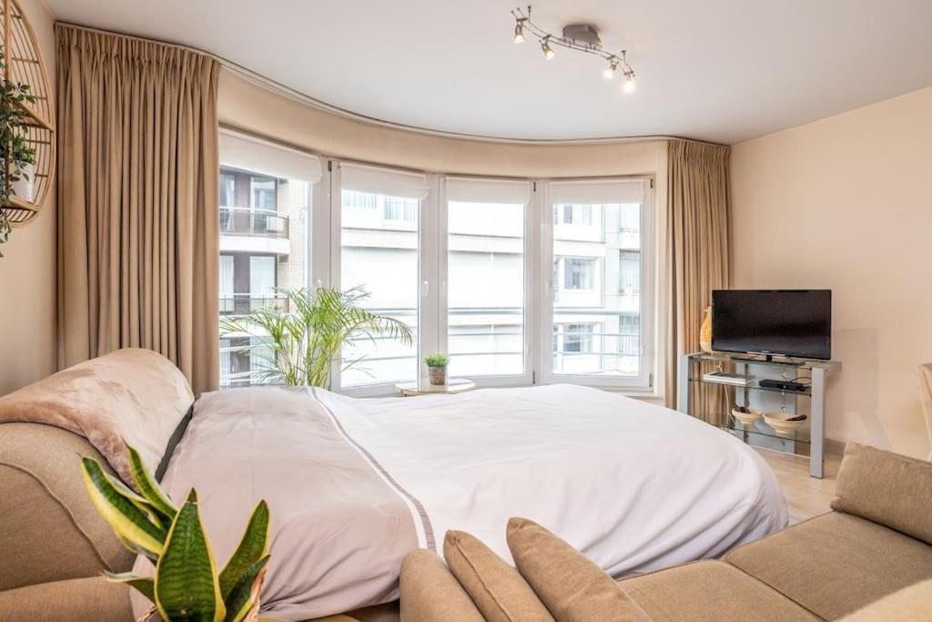 Top Studio Knokke Bij Zeedijk! Extérieur photo